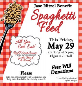 nitzel-spaghetti-feed