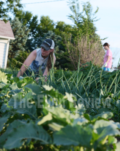 Justine Meis, home from college, is shown helping weed the garden. E-R photo