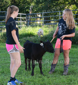 Marie Meis (l) gives some pointers on showing bucket calves to Allison Selting (r). The Elgin Review.