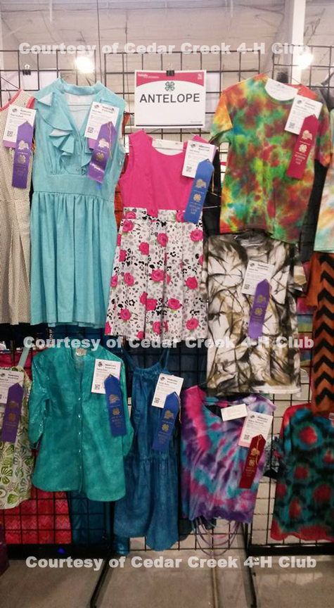 A photo of some Antelope County sewing projects at the State Fair. 