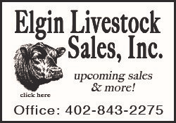 Elgin Livestock Sales