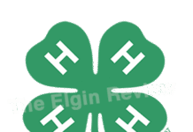 Logann Pelster awarded Kalin Henn Memorial Scholarship