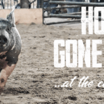 2025 Antelope County Fair Results Antelope County Fair Premium Auction Elgin Public Pope John Central Catholic Elgin Nebraska Antelope County Nebraska news Elgin Review 202520250802 8415