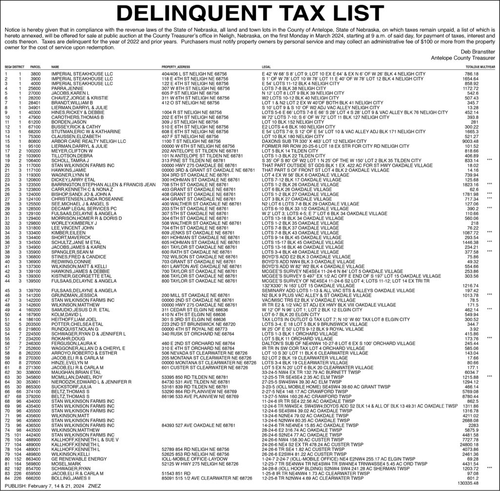 Delinquent Taxes w names 2024 FINAL