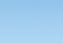 Record breaking day for Wolfpack runners