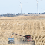 “Goodness in America” Gene Heithoff harvest DSC 6387 2 col cmyk