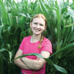 Fields go ‘green’ in July Reese Stuhr corn shot DSC 6984 4 col cmyk