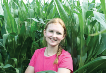 Fields go ‘green’ in July Reese Stuhr corn shot DSC 6984 4 col cmyk