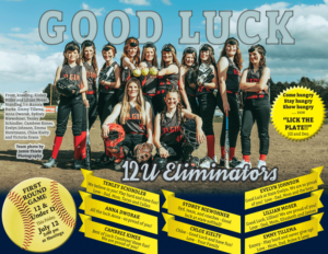 State Softball 2024 12U page