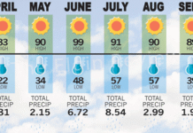 Weather 2025: Dry, wet and dry