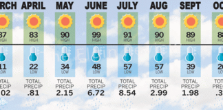 Weather 2025: Dry, wet and dry