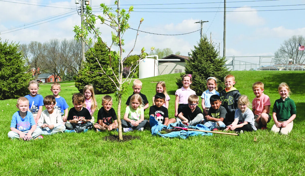 Young N Lively tree planting DSC 7450