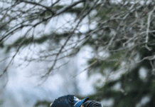 Golfers battle cold at Plainview