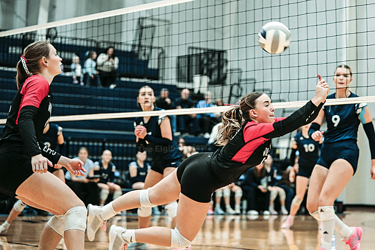 eppj moser dive 4 col cmyk.web