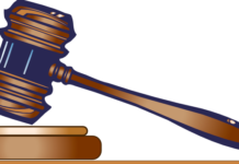 Elgin City Council okays pest control gavel