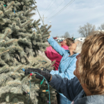 Bringing yuletide cheer just part of Young N’ Lively club as it turns 50 Members of the Young N' Lively prepare for the Christmas season by hanging lights.