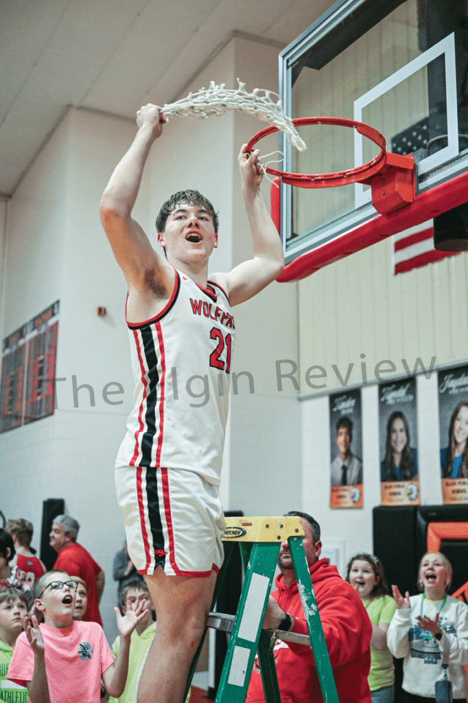 net jarek cmyk no crop.web