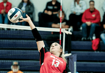 Bravettes, Cards surprise EPPJ