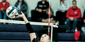 Bravettes, Cards surprise EPPJ