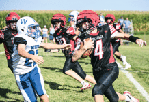 Wynot Blue Devils take down Wolfpack